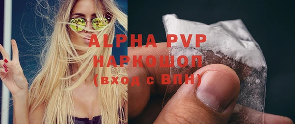 спиды Верея