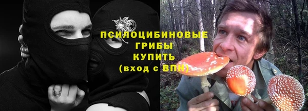 спиды Верея